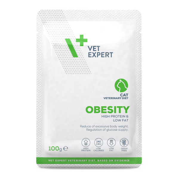 Obesity 100g – High Protein & Low Fat
