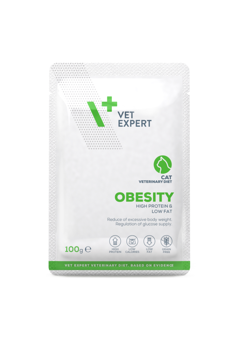Obesity 100g – High Protein & Low Fat