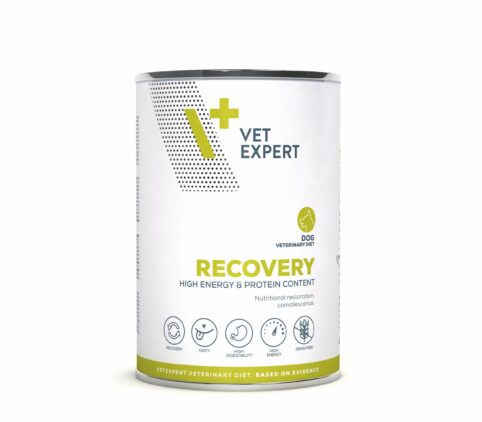 VetExpert Recovery dog