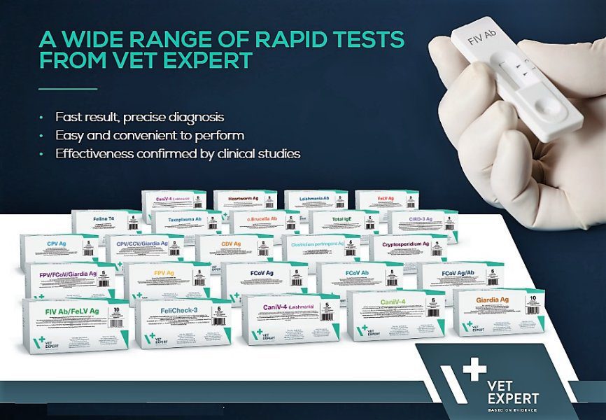 Veterinaerdiagnostik-Schnelltest-fuer-Infektionskrankheiten-in-der-Veterinaermedizin-Effektive-diagnostische-Tests-fuer-Ihre-Tiere-diagnostischen-Schnelltests