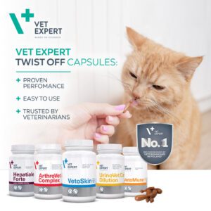 Nahrungsergänzungsmittel in der Tiermedizin – Moderne Lösungen für Tierärzte in Österreich und Deutschland