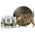 Katzenfutter-