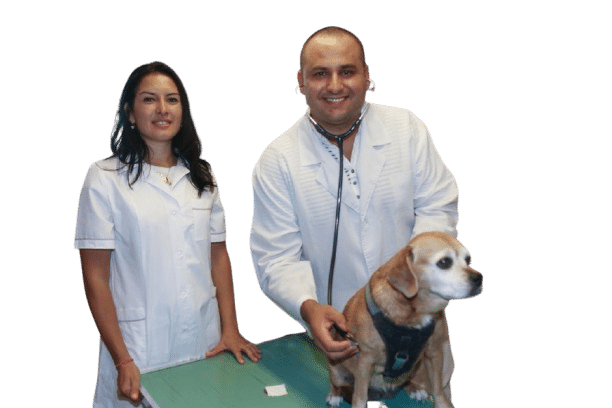 Dr. Milenkovic