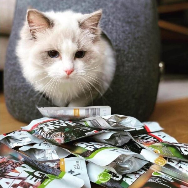 Raw Paleo Getreidefreies Katzenfutter Nassfutter Kittenfutter mit hohem Fleischanteil