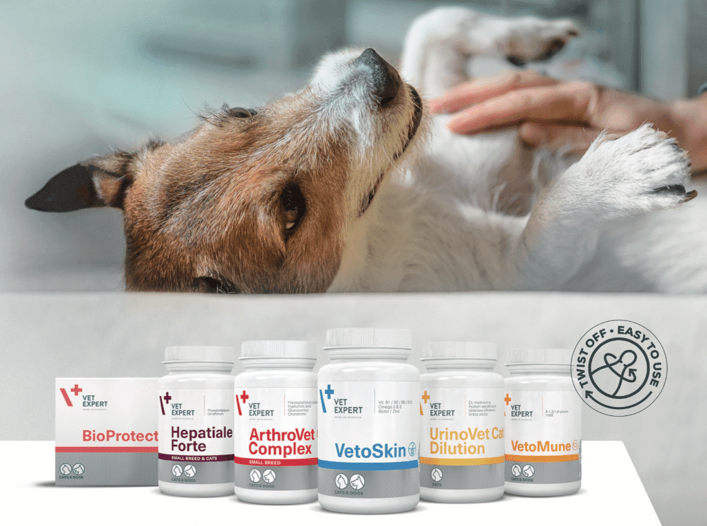 Erfahrungsbericht der Apotheke zum Schutzengel über VETEXPERT-Produkte