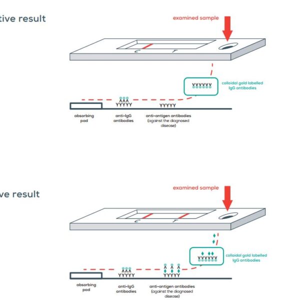 VetExpert-Schnelltest-Diagnostik