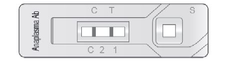 VetExpert Rapid Test FIV Ab